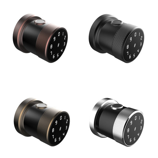 Smart Password & Fingerprint Lock