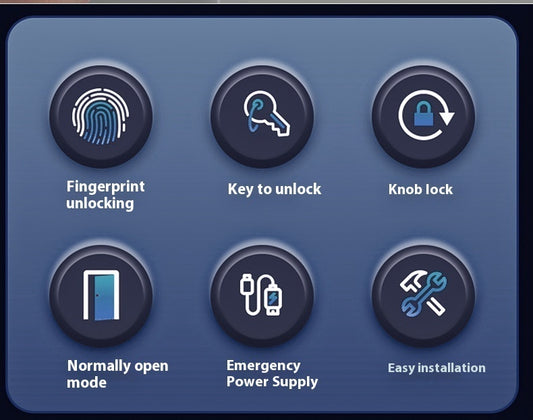 Round Ball Fingerprint Door Lock — With Backup Key