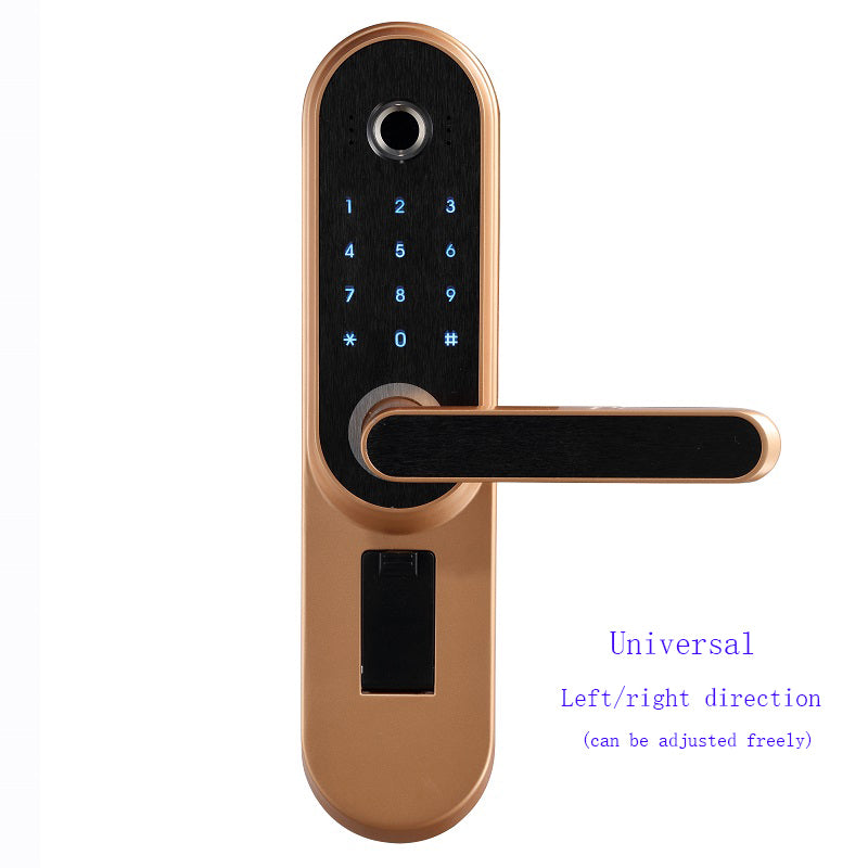 Keyless Fingerprint Door Lock