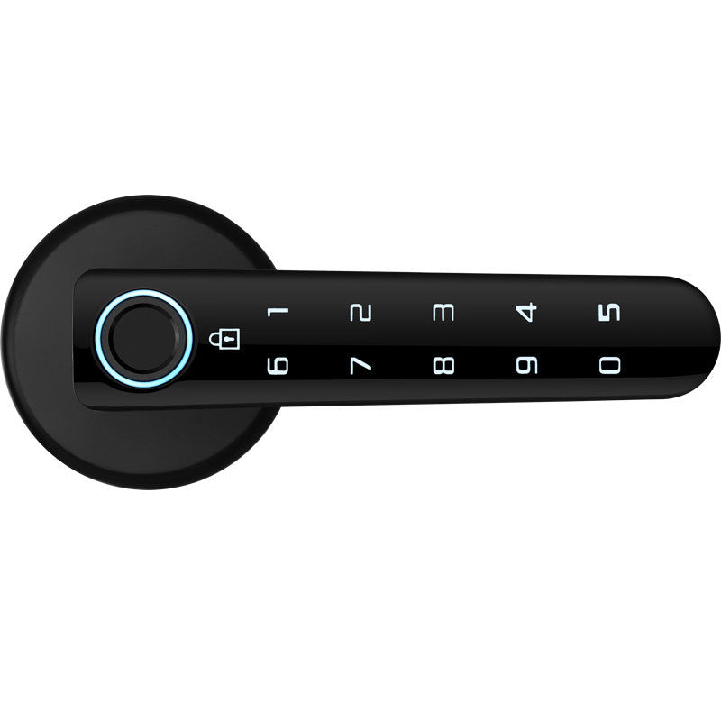 Indoor Split Electronic Fingerprint Lock