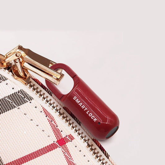 USB Rechargeable Fingerprint Padlock