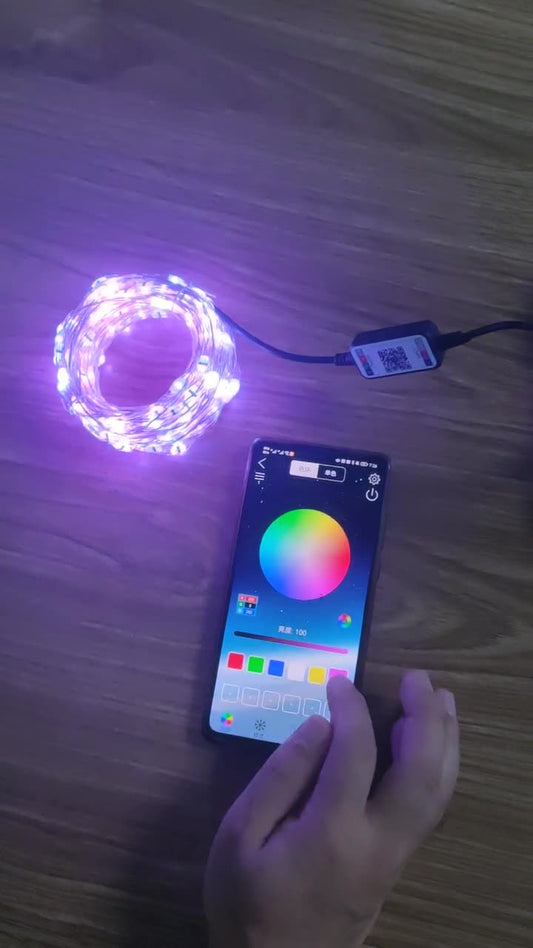 Bluetooth Smart LED Light String