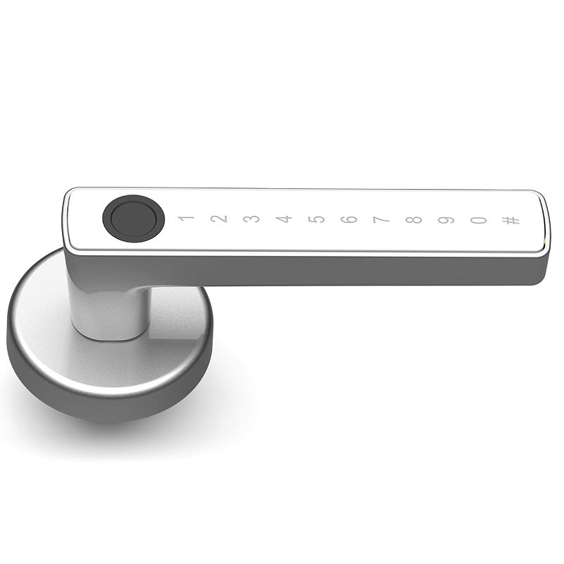 Smart Biometric Door Lock