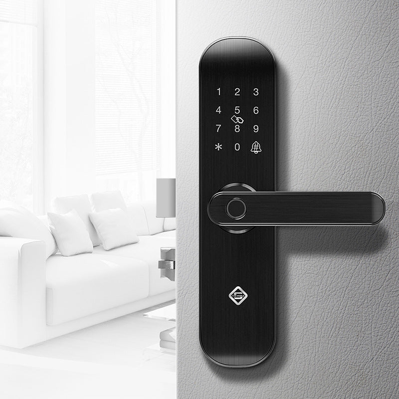 Fingerprint password lock