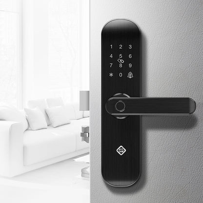 Fingerprint password lock
