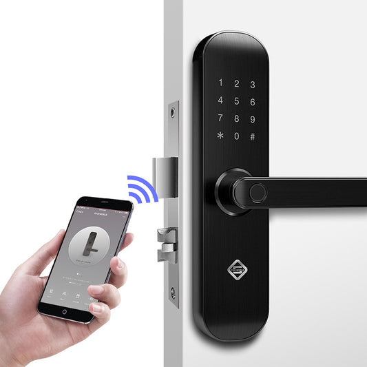 Fingerprint password lock
