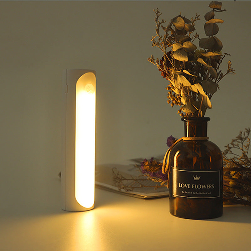 Smart Infrared Motion Sensor Light