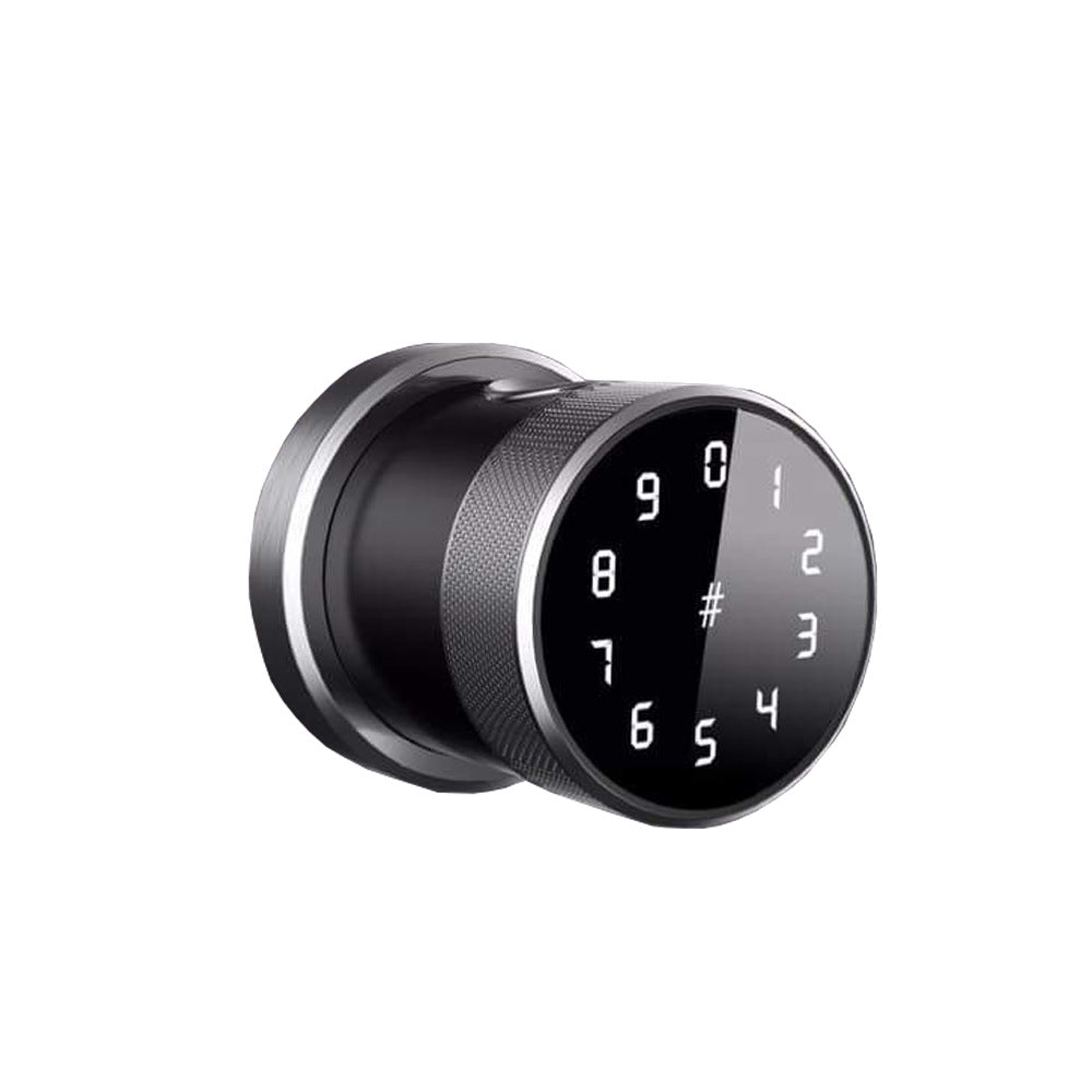 Smart Password & Fingerprint Lock