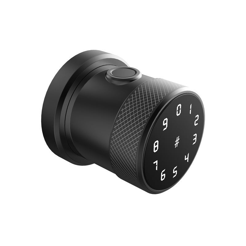 Smart Password & Fingerprint Lock