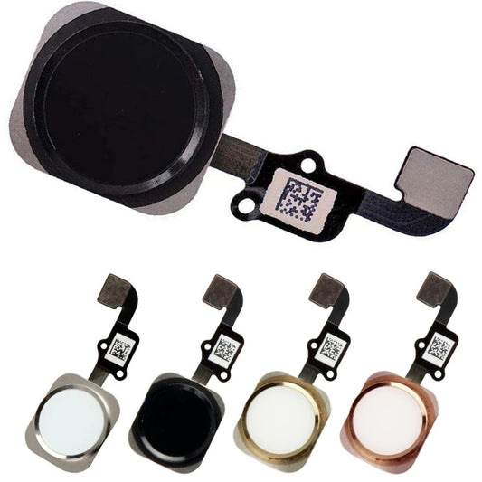 Return To Assembly Fingerprint Key