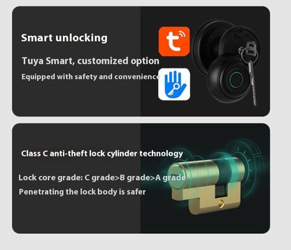 Round Ball Fingerprint Door Lock — With Backup Key