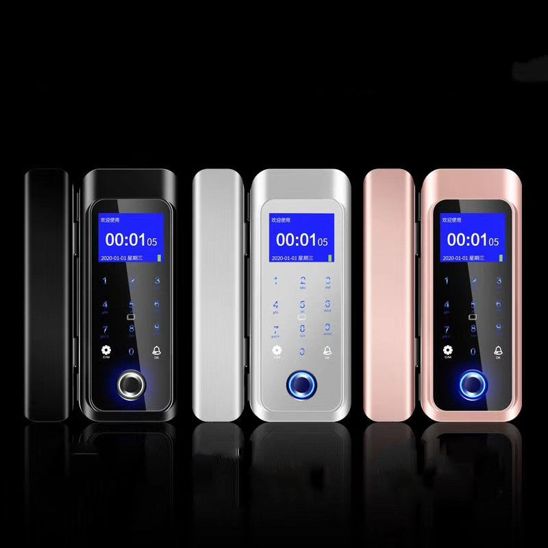 Smart Glass Door Access Lock