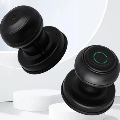 Security Fingerprint Door Lock