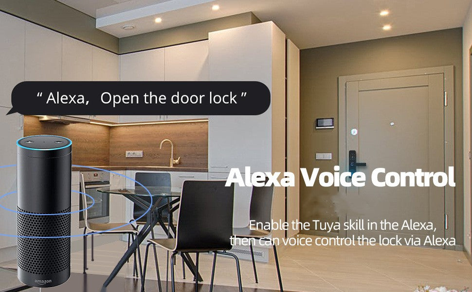 Smart WiFi Door Lock