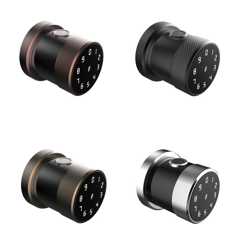 Smart Password & Fingerprint Lock