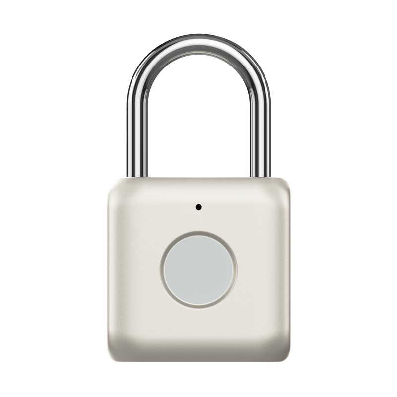 Compact Fingerprint Padlock — 360° Scanning