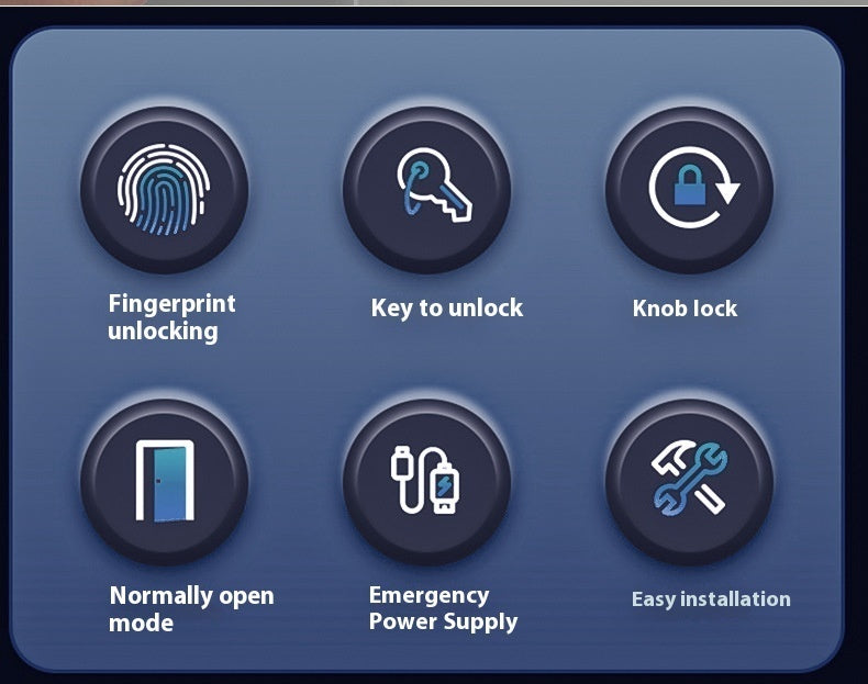 Round Ball Fingerprint Door Lock — With Backup Key