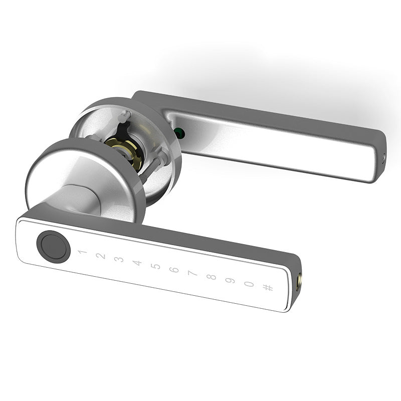 Smart Biometric Door Lock