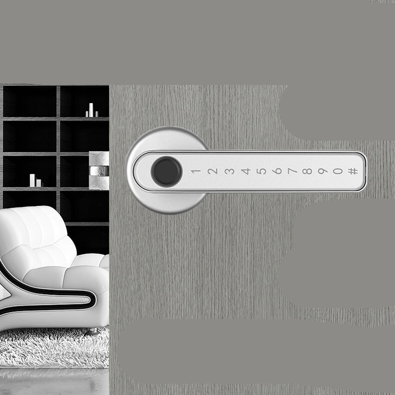 Indoor Smart Fingerprint Lock