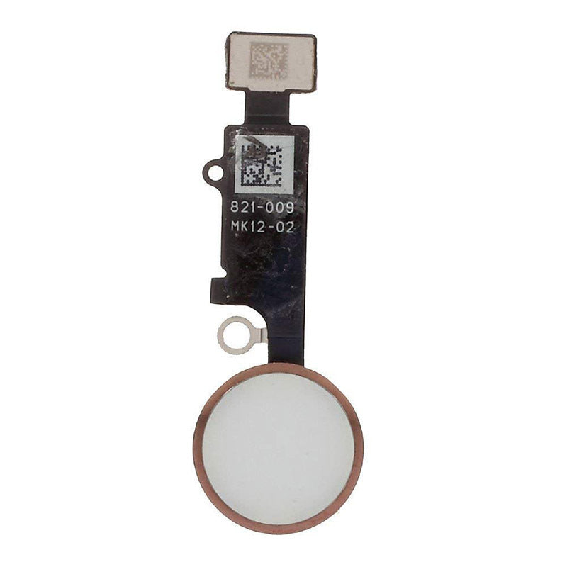 Return To Assembly Fingerprint Key