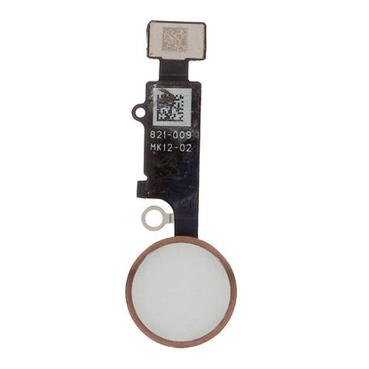 Return To Assembly Fingerprint Key