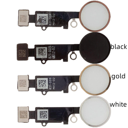 Return To Assembly Fingerprint Key