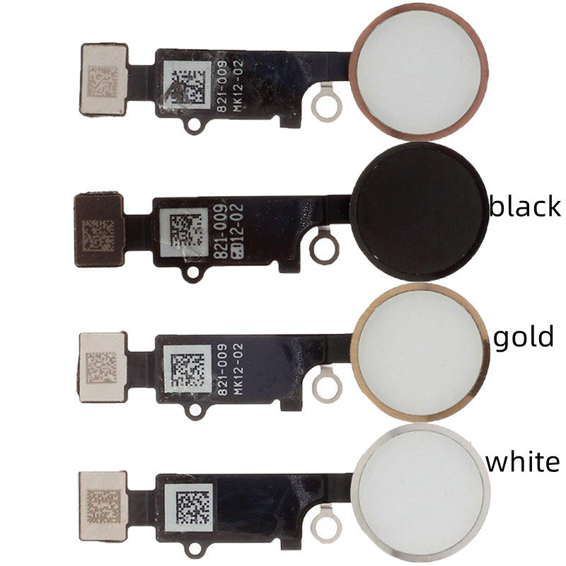 Return To Assembly Fingerprint Key