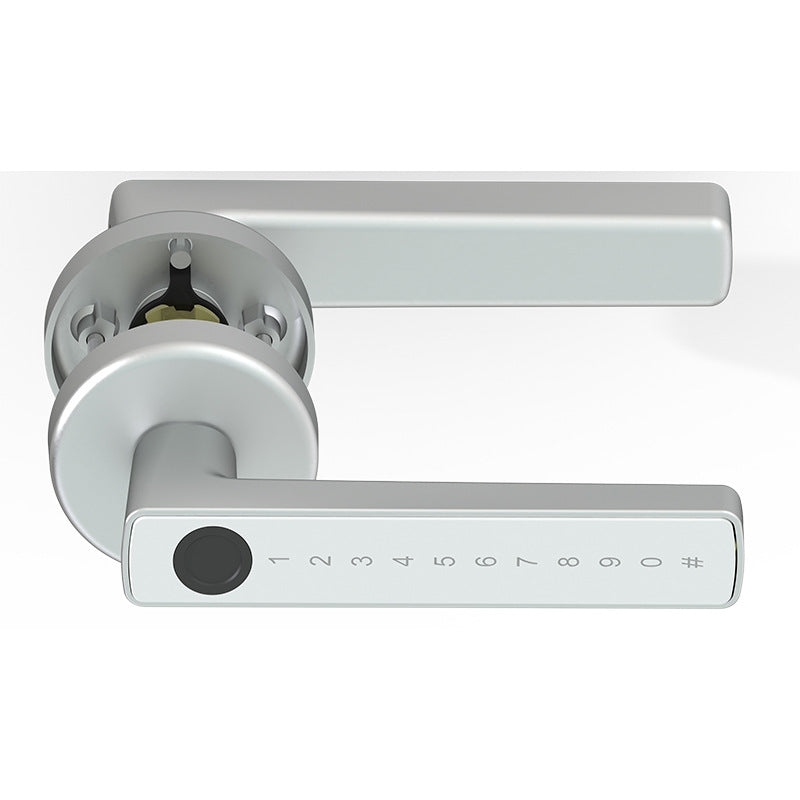 Smart Biometric Door Lock